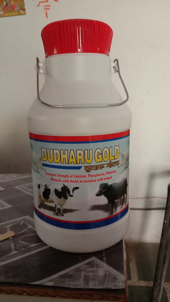 DHADRU GOLD